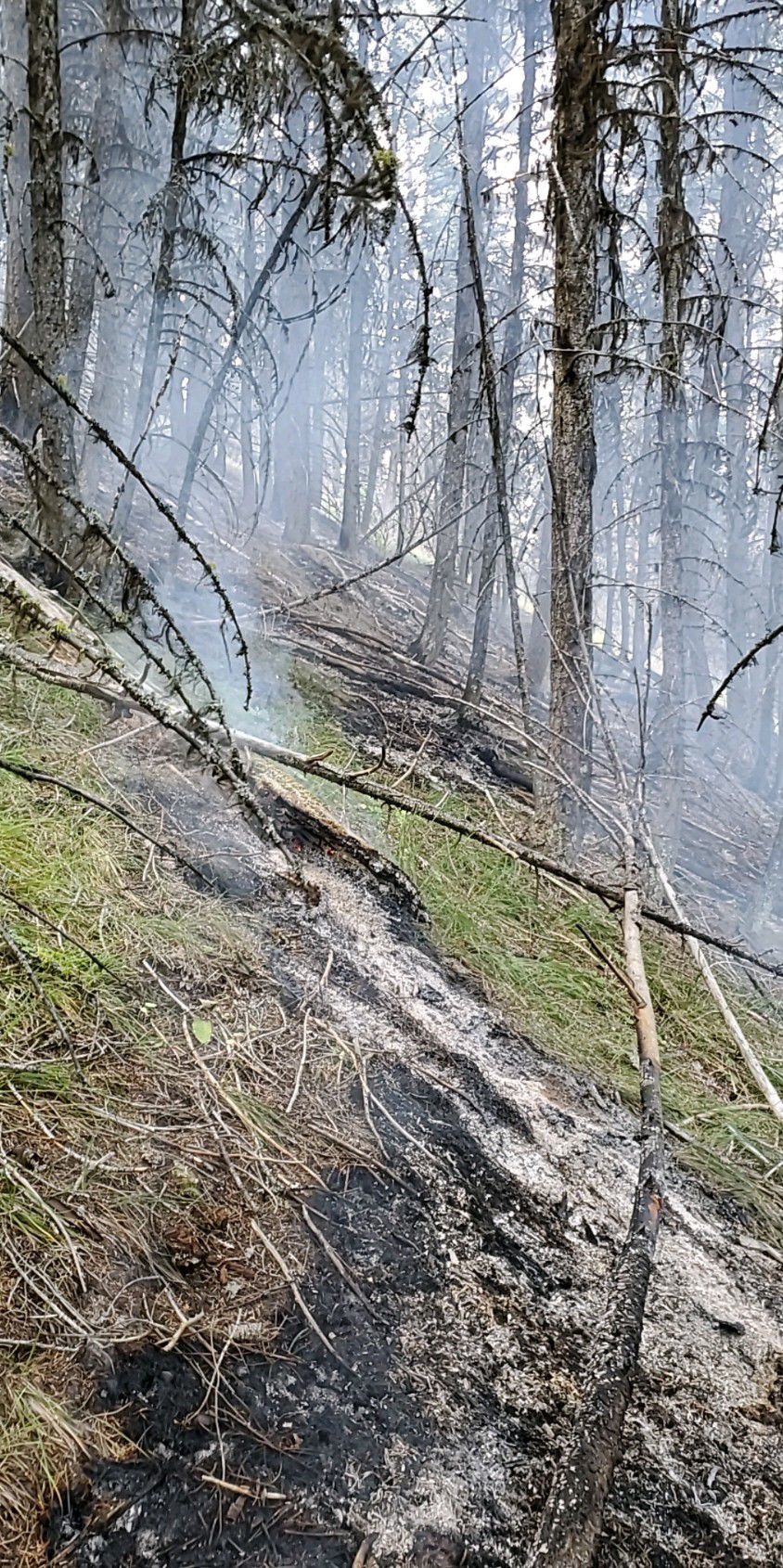Valley of the Moon fire 2019